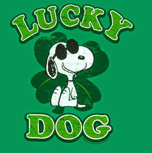 Meet your Posher, Steve